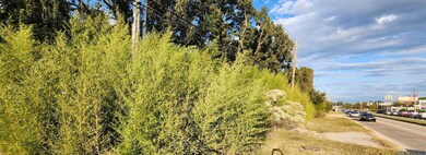 TBD Greenwell Springs Rd, Baton Rouge, LA 70739 - photo 5