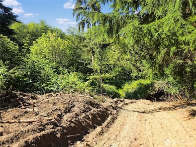 4985 Bakerview Rd, Oak Harbor, WA 98277 - photo 6