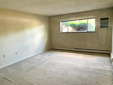 220 School St unit 3, Waltham, MA 02451 - photo 3