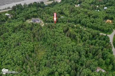 7-Aerial Image arrow