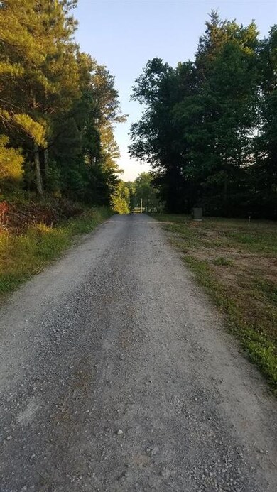Lane to property