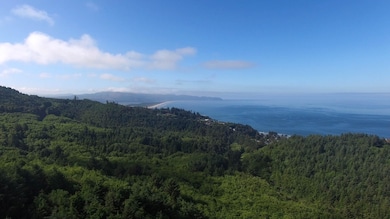 View south from drone