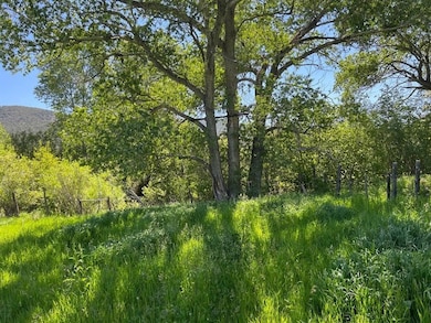 17,21,61 Cr 251, Vallecitos, NM 87581 - photo 5