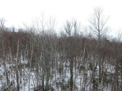 DJI_0006
