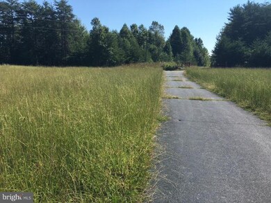 2567 Chalklevel Rd, Louisa, VA 23093 - photo 4