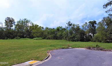 DJI_0877