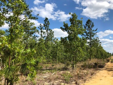 05938D36-0335-4ABE-B614-B25FF73277A0