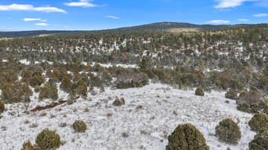 12 Moot Ct, Cedro, NM 87059 - photo 7