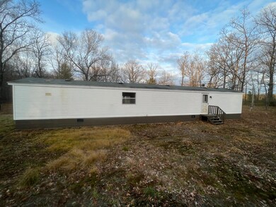 751 Hayes St, Bitely, MI 49309 - photo 6