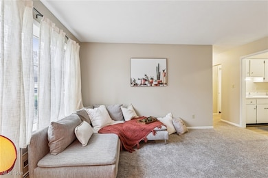 8190 Deepwood Blvd unit 1, Mentor, OH 44060 - photo 4