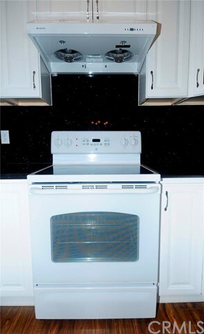 view of the stove and hood.