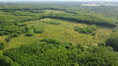 DJI_0202