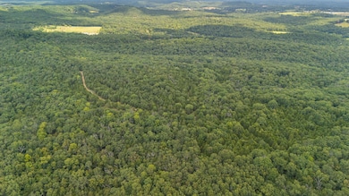 000 Merritt Rd, Chadwick, MO 65629 - photo 6