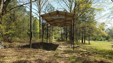 2220 Mill Creek Rd, Laurel, MS 39443 - photo 6