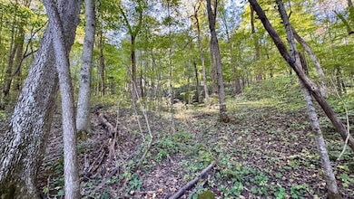 5139 Peggy Hollow Rd, Shoals, IN 47581 - photo 3