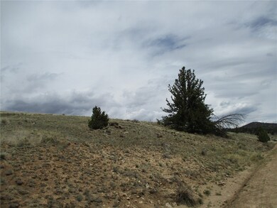 129 Ouray Trail, Como, CO 80432 - photo 6