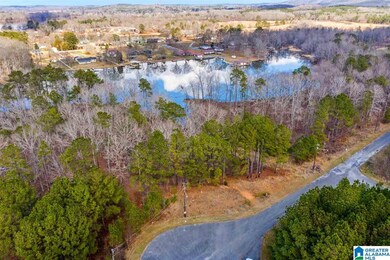 0 Castaway Rd unit Lot 101 1270975, Sylacauga, AL 35151 - photo 4