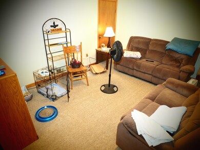 215 N Main St, Wayland, MI 49348 - photo 4