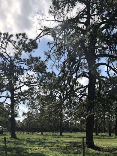 7120 Amesbury Ave, Cocoa, FL 32927 - photo 3