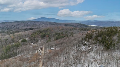 163 Quaker Path Rd, Wilmot, NH 03287 - photo 4