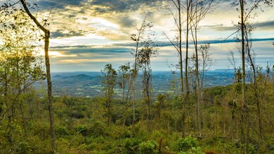 DJI_0164