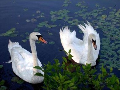 19 Hall Rd, Webster, MA 01570 - photo 2