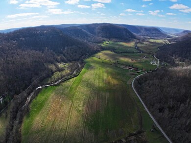 Welcome to Red Lick Valley!