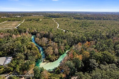 0 & 7268 Crystal Spring Run, Weeki Wachee, FL 34607 - photo 5