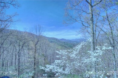 View from the front deck