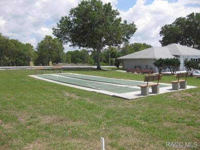 shuffleboard