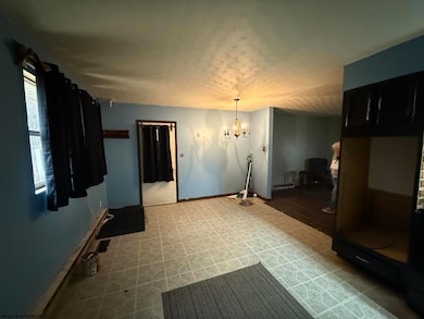 120 Kyle Subdivision Dr, Nettie, WV 26681 - photo 5