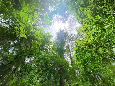 0000 Sugarberry Trail, Hochatown, OK 74728 - photo 4