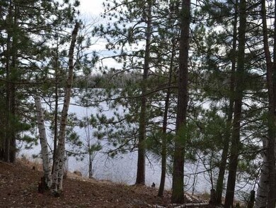 Lot 3 Forrester Rd, Tripoli, WI 54564 - photo 6