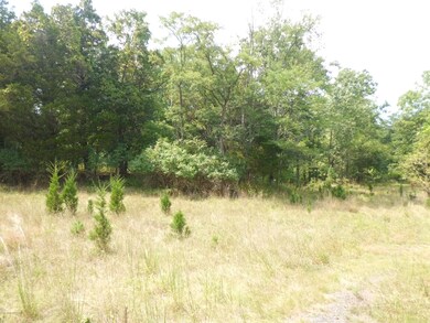 65 Squankum Rd, Colts Neck, NJ 07722 - photo 3