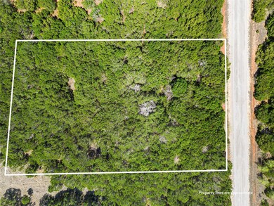 12116 Oak Dale Dr, Whitney, TX 76692 - photo 3