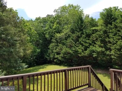 1205 Ripple Ct, Front Royal, VA 22630 - photo 4