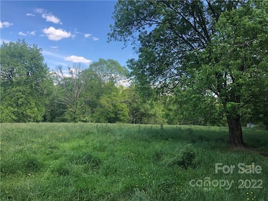 99999 Ridge Rd, Asheville, NC 28806 - photo 7