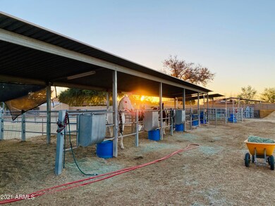 Shedrow 5 coveredstalls