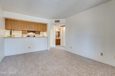 Living & Dining Area