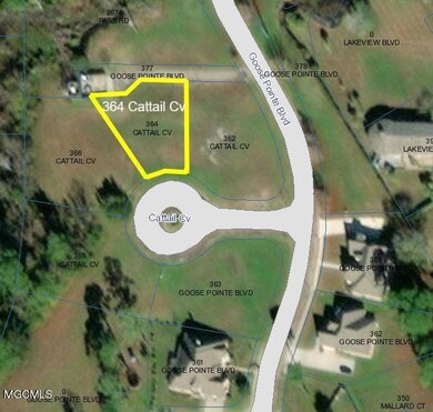 364 Cattail Cove aerial