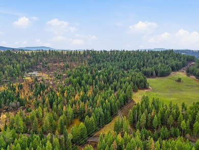 12112 E Burnett Rd, Mead, WA 99021 - photo 5