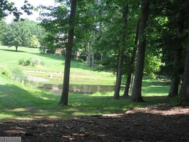 Other. view of pond from front yard