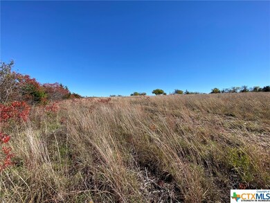 278 Theresa Ln, Moody, TX 76557 - photo 5