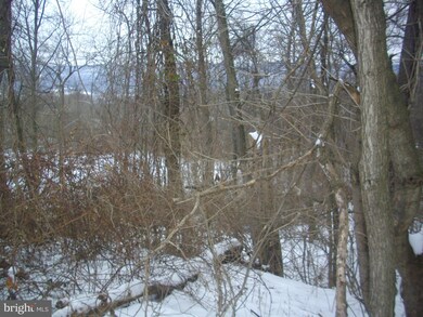 0 Lincoln Way W unit 1000118750, Fort Loudon, PA 17224 - photo 6