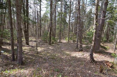 0 Berry Patch Ln unit 45-2, Ludlow, VT 05149 - photo 4