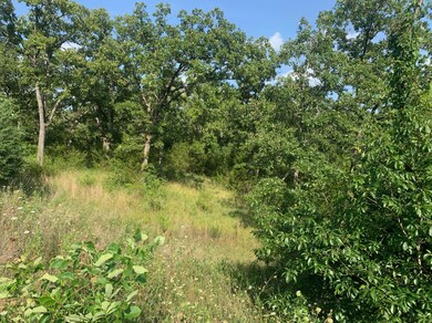 Lot 312 Weatherstone Dr, Branson West, MO 65737 - photo 3