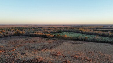 TBD C R 1222, Deport, TX 75435 - photo 5