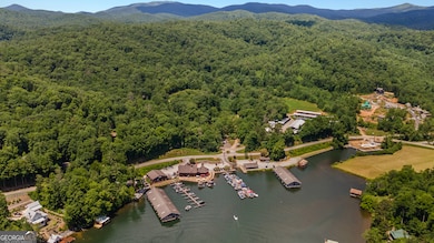 112 Springhill Ln, Clarkesville, GA 30523 - photo 7