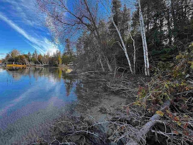 Vacant Township Park Rd, Springvale Township, MI 49770 - photo 7