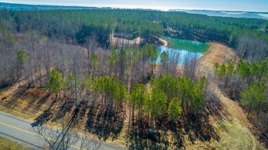 Arial view of the lot and pond